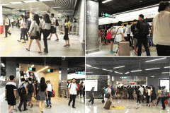 绿景虹湾花圃(售楼处)2025首页网坐-福田·绿景虹